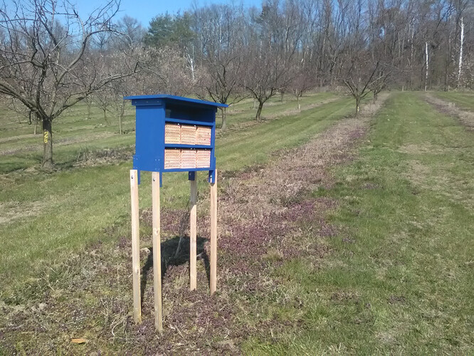 Návrh umělého hnízdiště pro samotářské včely zednice, jež lze využít k opylování ovocných stromů.