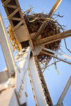 Hnízdo na mostě
