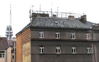 střecha