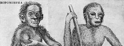 V 18. století ještě nebyla zcela jasná hranice mezi lidmi a lidoopy, kteří byli považováni někdy spíše za „přírodní národy“. Na ilustraci lidoopi v podání Christiana Christiana E. Hoppia z r. 1760