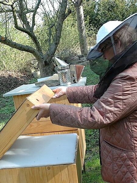 Včelaři i včelařky o své činnosti mluví jako o nádherném koníčku. Přestože je třeba za běžného provozu jít do úlu, nebo ve včelařské hantýrce prostě „do včel“, třeba jen několikrát za rok, tráví u úlů mnohem více času