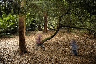 Zapojování smyslů při lesní schovávané. Zapojování smyslů při lesní schovávané.