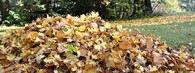 hromada listí