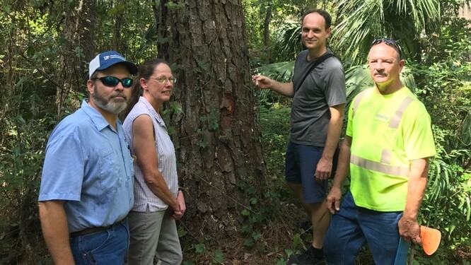 Author (in gray T-shirt) outside the academic bubble: a debate with local foresters around an infested bark beetle.