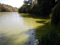 Huťský rybník