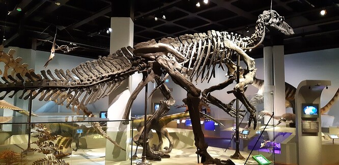 Odhaduje se, že iguanodon žil před více než 150 miliony let.