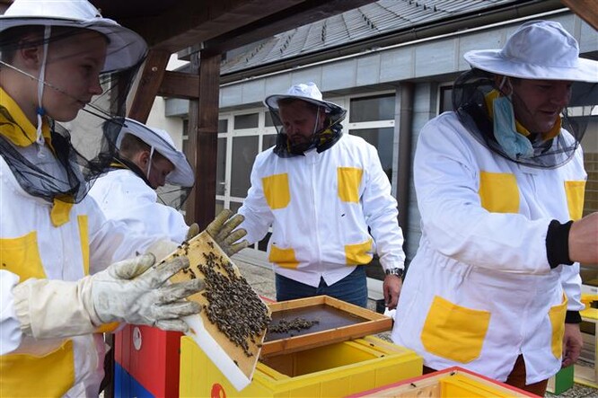 Včelařský kroužek se v Jihlavě obnovil v roce 2018 asi po 25 letech.