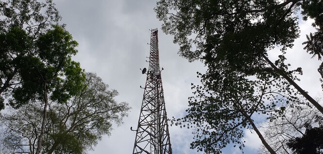 Věž pro monitorování toku uhlíku