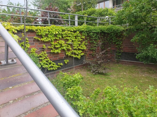 Obr. 4. Střešní zahrada na podzemní garáži. Ve zdi jsou patrné trubky s řetězem na odvádění nadbytečné vody ke vsaku.