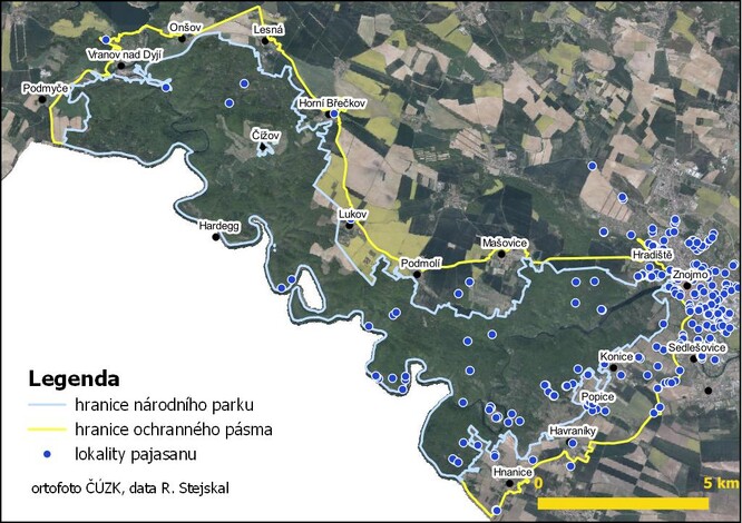 Výskyt pajasanu v NP Podyjí a v okolí města Znojmo.