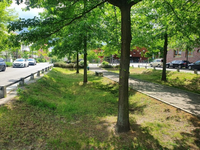 Obr. 5. Bohatě dimenzovaný průleh se stromy. Obr. 5. Bohatě dimenzovaný průleh se stromy.