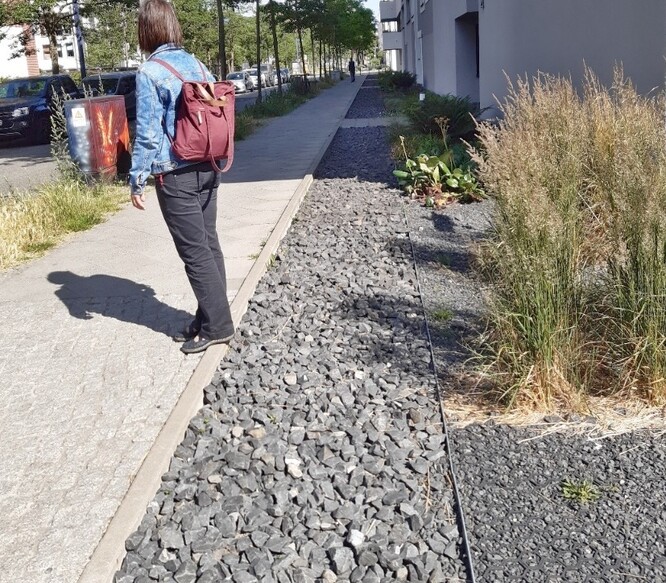 Obr. 11. Štěrková zahrada. Obr. 11. Štěrková zahrada.