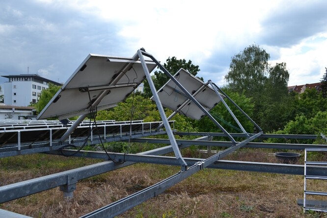 Obr. 23. Solární panely zvyšují diverzitu rostlin pod nimi. Obr. 23. Solární panely zvyšují diverzitu rostlin pod nimi.