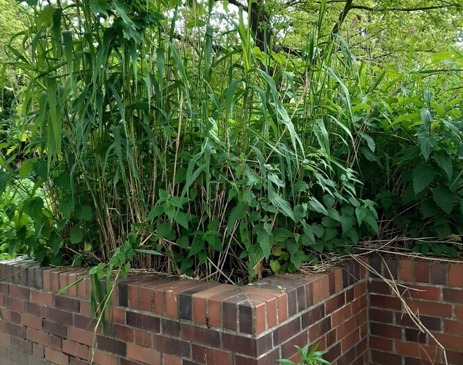 Obr. 25. Umělý mokřad v UFA Fabrik. Obr. 25. Umělý mokřad v UFA Fabrik.