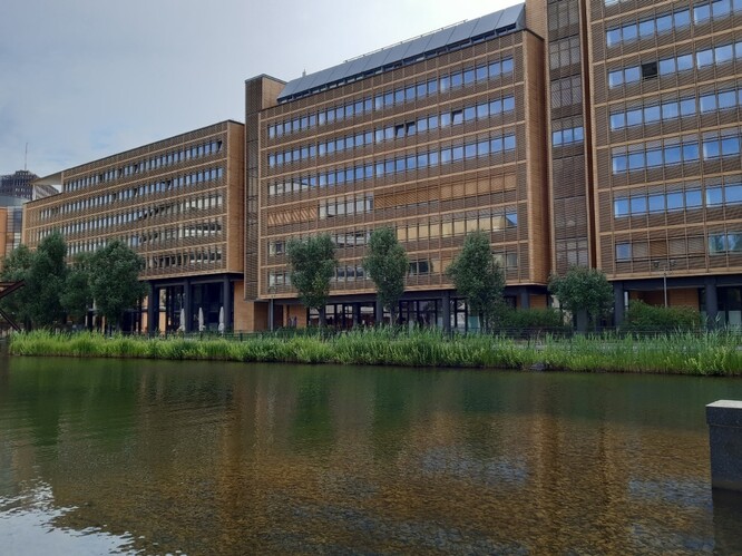 Obr. 33. Biotopy podél břehů hlavní části městského jezera. Obr. 33. Biotopy podél břehů hlavní části městského jezera.