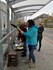 Vychovatelky ze ZŠ E. Beneše zabezpečují zastávku autobusu v Písku před kolizemi s ptáky.