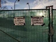 protest proti kácení javoru v Anenském trojúhelníku