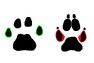 Srovnání tvaru bočních prstů ve stopě rysa a psa.