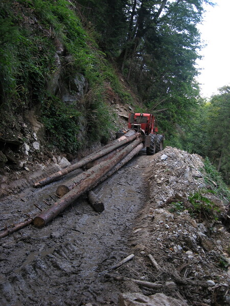 Probíhající těžba v pohoří Fagaraš (Rumunsko).