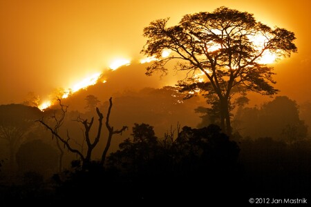 Požár kamerunského pralesa. Žádné peníze se nesebraly, ani když už dohořelo.