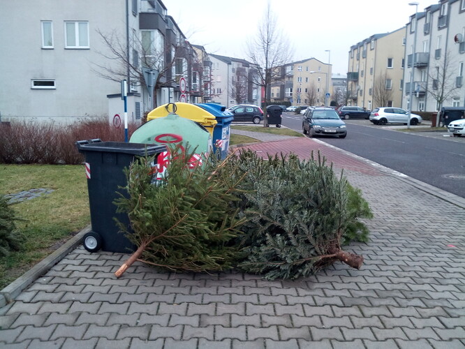 V Praze můžete dát vánoční stromky ke kontejnerům na směsný či tříděný odpad. Až do konce února bude probíhat jejich svoz.