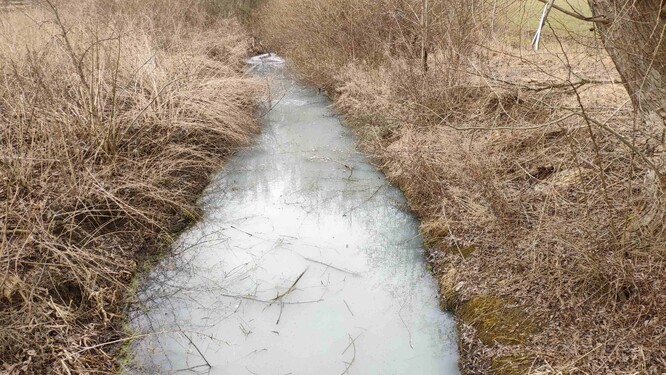 Potok má modrošedou barvu, zapáchá a živočichové jako užovky či žáby, kterým byl domovem, zmizeli.
