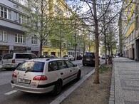 stromy v ulicích