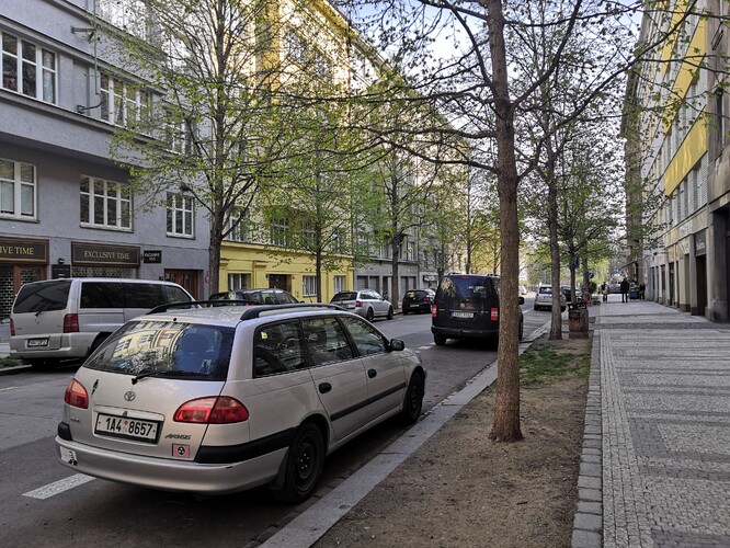 Stromy v ulici Uralská v Praze 6.