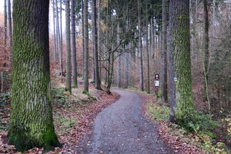 Kunratický les - vstup do přírodní památky od Chodova.
