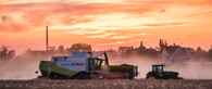 zemědělství v Praze