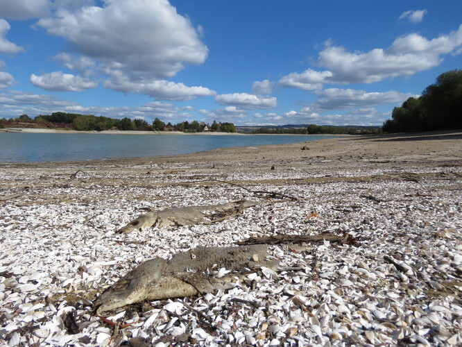Údolní nádrž Rozkoš. Údolní nádrž Rozkoš.