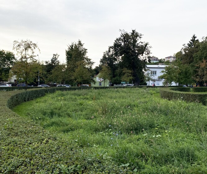 Staré Benátky – parková zeleň s luční loukou