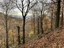 Velmi stará bučina v EVL Východní Krušnohoří chráněná smluvní ochranou