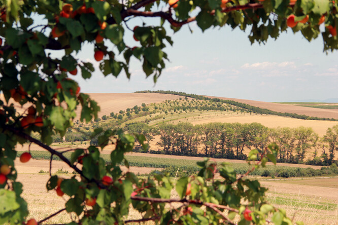 Ilustrační snímek. Ilustrační snímek.