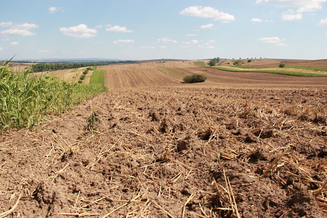 Pro udržování půdní úrodnosti je jedním z vhodných zdrojů organické hmoty sláma. K podpoře jejího rozkladu se běžně používají dusíkatá hnojiva.