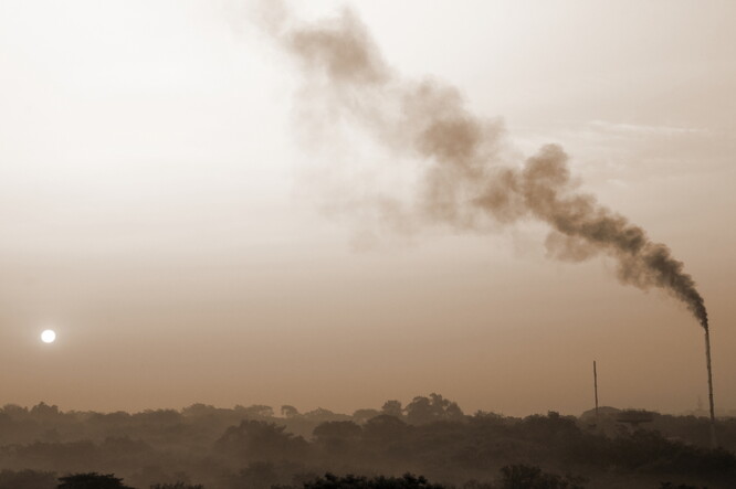 Ze studie rovněž vyplynulo, že počet úmrtí spojených se znečištěným ovzduším v Indii od roku 2017 vzrostl.