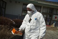 Monitorování radiace ve Fukušimě