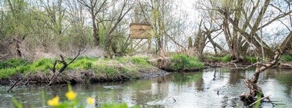 V ptačím parku Josefovské louky jsou dvě nové pozorovatelny Foto: Tereza Valchářová ČSO V ptačím parku Josefovské louky jsou dvě nové pozorovatelny Foto: Tereza Valchářová ČSO