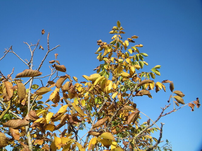 Ilustrační foto Ilustrační foto