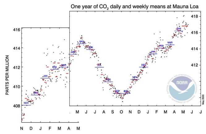 Koncentrace CO2 na Mauna Loa za období 11/2018 – 5/2020