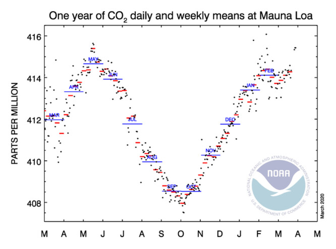 Obr. 2 – Denní, týdenní a měsíční koncentrace CO2 na stanici Mauna Loa od 1.3.2019 do 30.3.2020 (ESRL 2020)