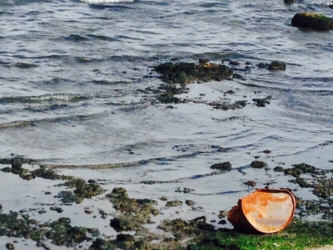 Tuleni žijící v oblasti Kaspického moře už léta trpí a vymírají kvůli nadměrnému lovu a dopadům znečištěného životního prostředí. Kaspické moře znečišťuje těžba ropy a zároveň se na kvalitě životního prostředí neblaze podepisuje úbytek vody kvůli klimatickým změnám.