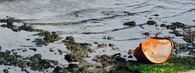 Znečištěné kaspické moře