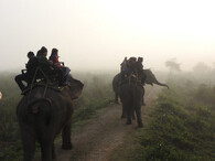 turisté na slonech