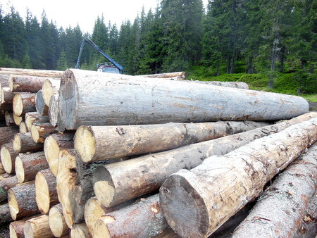 Krkonošskému národnímu parku (KRNAP) letos kvůli propadu cen dřeva chybějí v rozpočtu desítky milionů korun. / Ilustrační foto