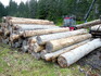 Odvážení starého dřeva na Šumavě Odvážení starého dřeva na Šumavě