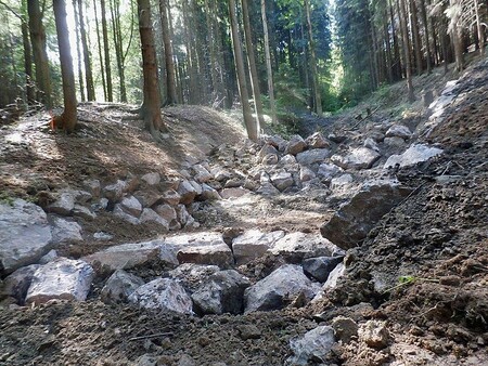 Lesy ČR spravují téměř polovinu lesů v zemi. Lesy ČR spravují téměř polovinu lesů v zemi.