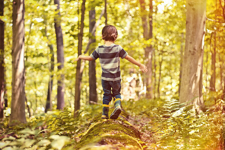Podoba, forma a míra kontaktu s přírodou v dětství mohou do jisté míry ovlivnit naše budoucí chování.