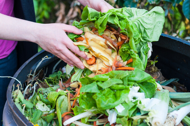 Největším problémem při sběru bioodpadu bývá to, že lidé rostlinné zbytky z kuchyně hodí do nádoby společně s papírovým či plastovým sáčkem.