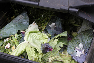 Organický odpad z domácnosti pomalu hnije ve dvou malých kádích. Ilustrační obrázek